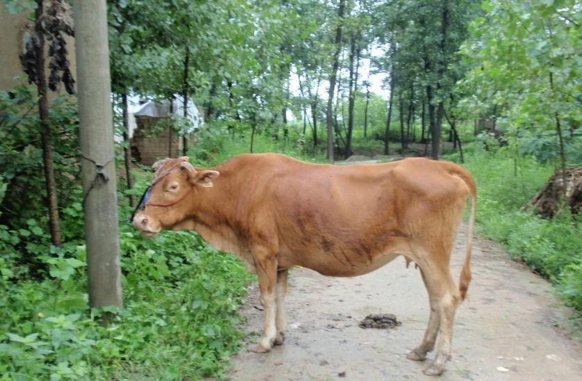 文山最新求一个套医保卡的黄牛是真的吗方法分析(最方便真实的文山求一个套医保卡的黄牛是真的吗还是假的方法)